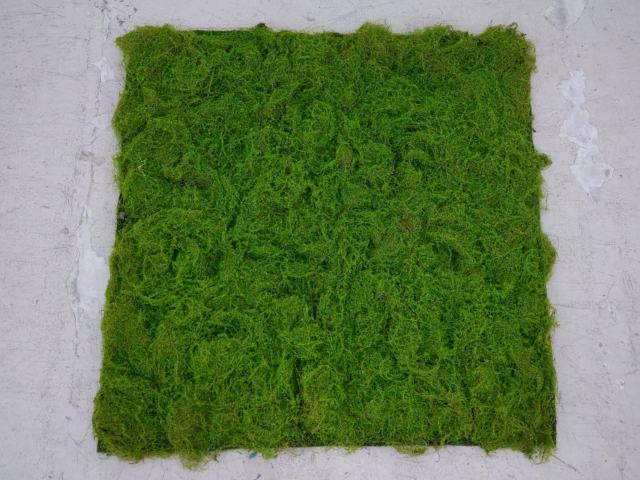 Artificial Curly Moss Turf