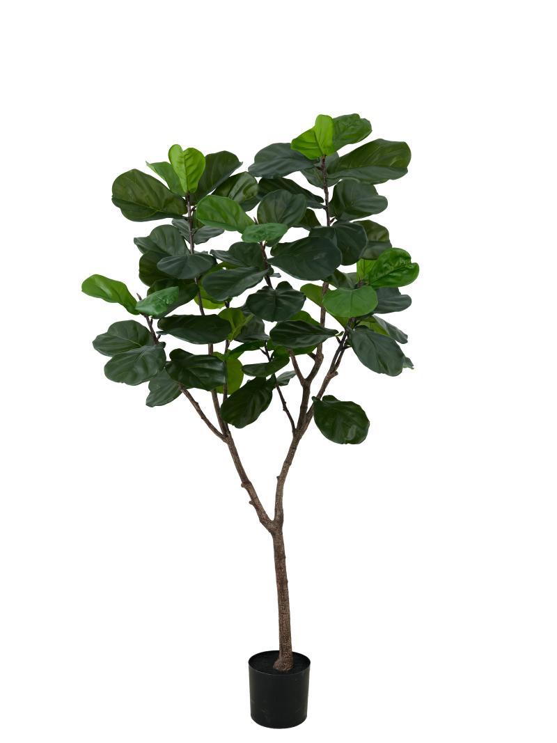 Fiddle Leaf Fig Potted Plant