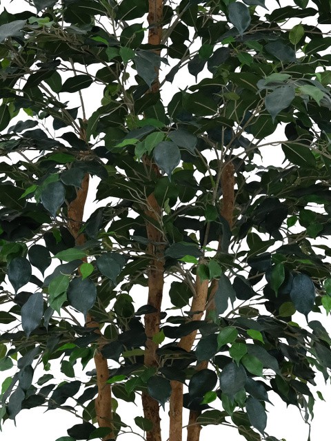 Artificial Ficus Tree