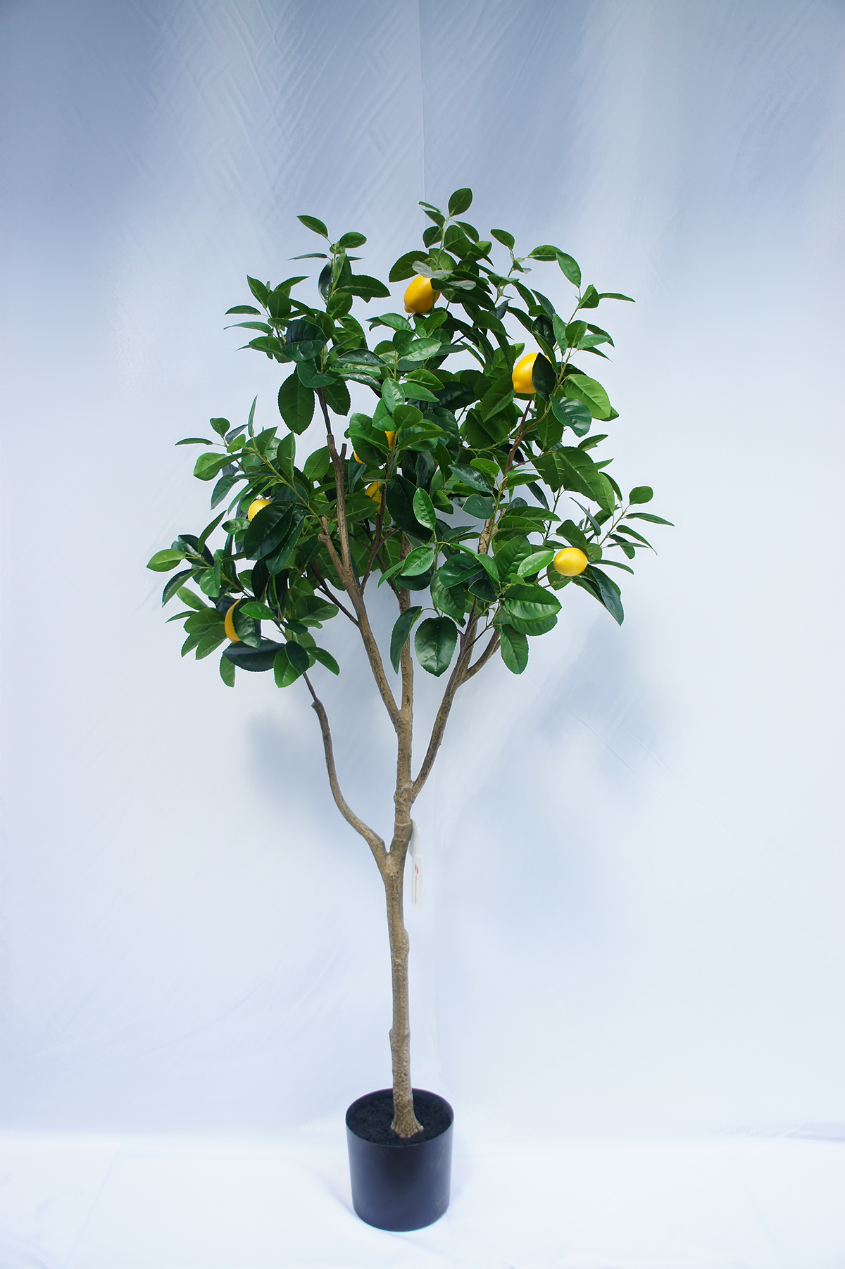 Lemon Fruit Potted Plant