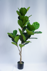 Fiddle Leaf Fig Potted Plant