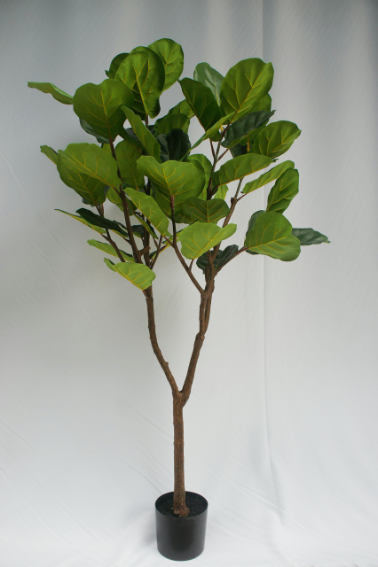 Fiddle Leaf Fig Potted Plant