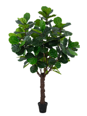 Fiddle Leaf Fig Potted Plant