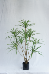 Artificial Dracaena Tree
