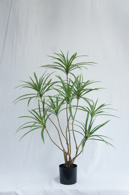 Artificial Dracaena Tree