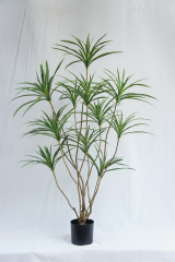 Artificial Dracaena Tree