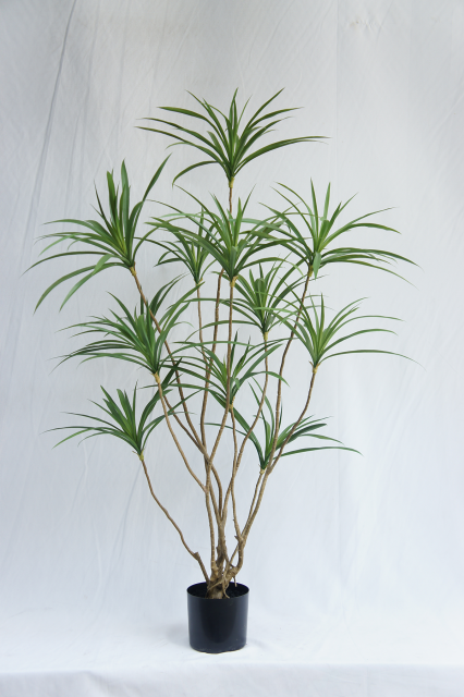 Artificial Dracaena Tree