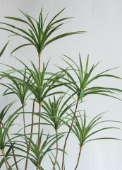 Artificial Dracaena Tree