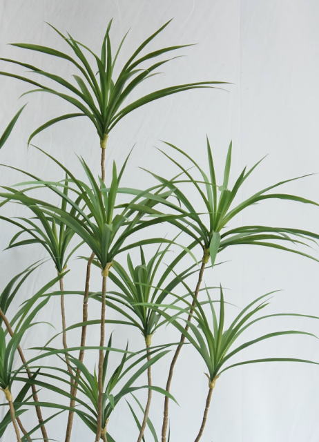 Artificial Dracaena Tree