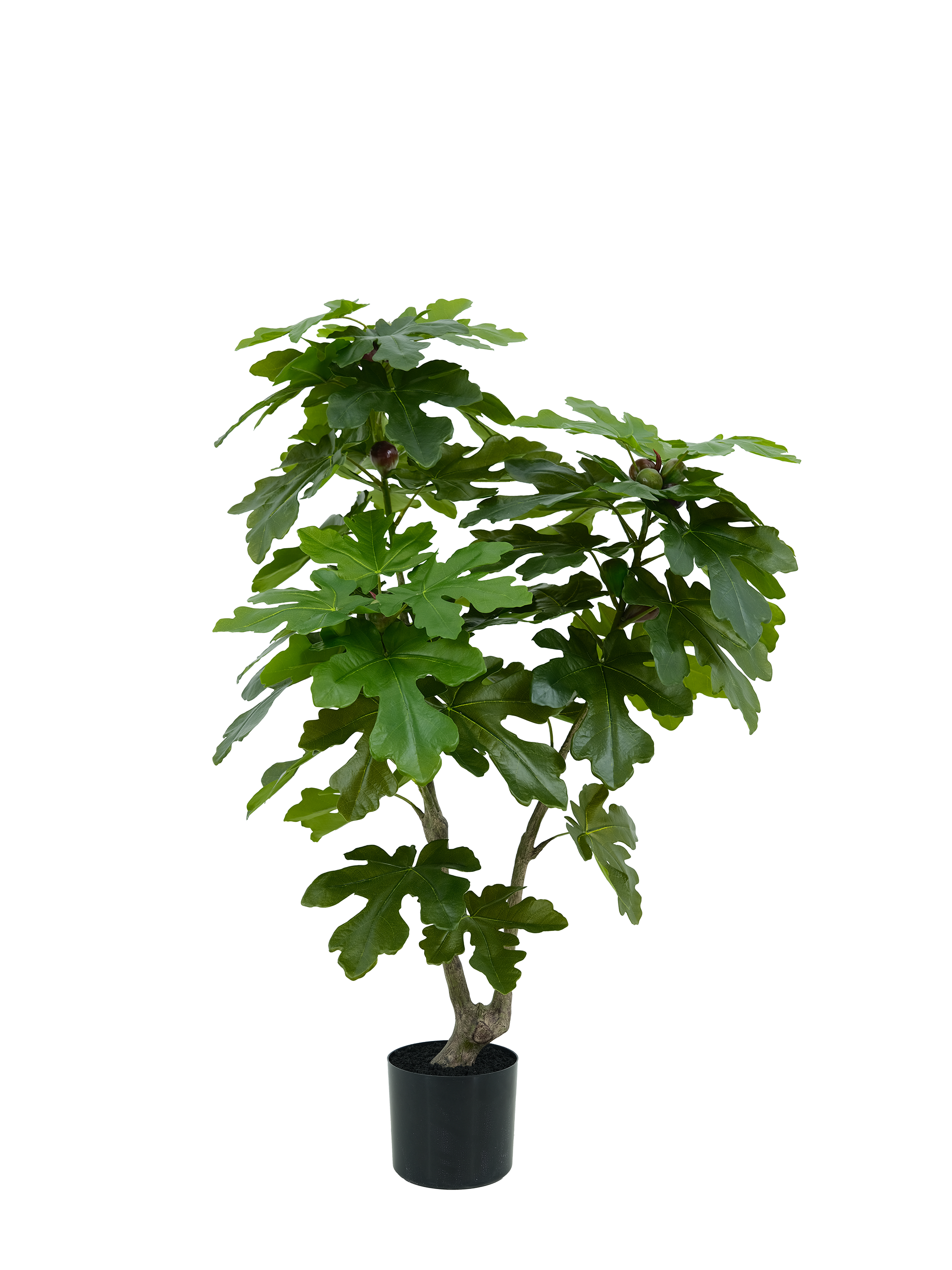 Artificial Fig Tree