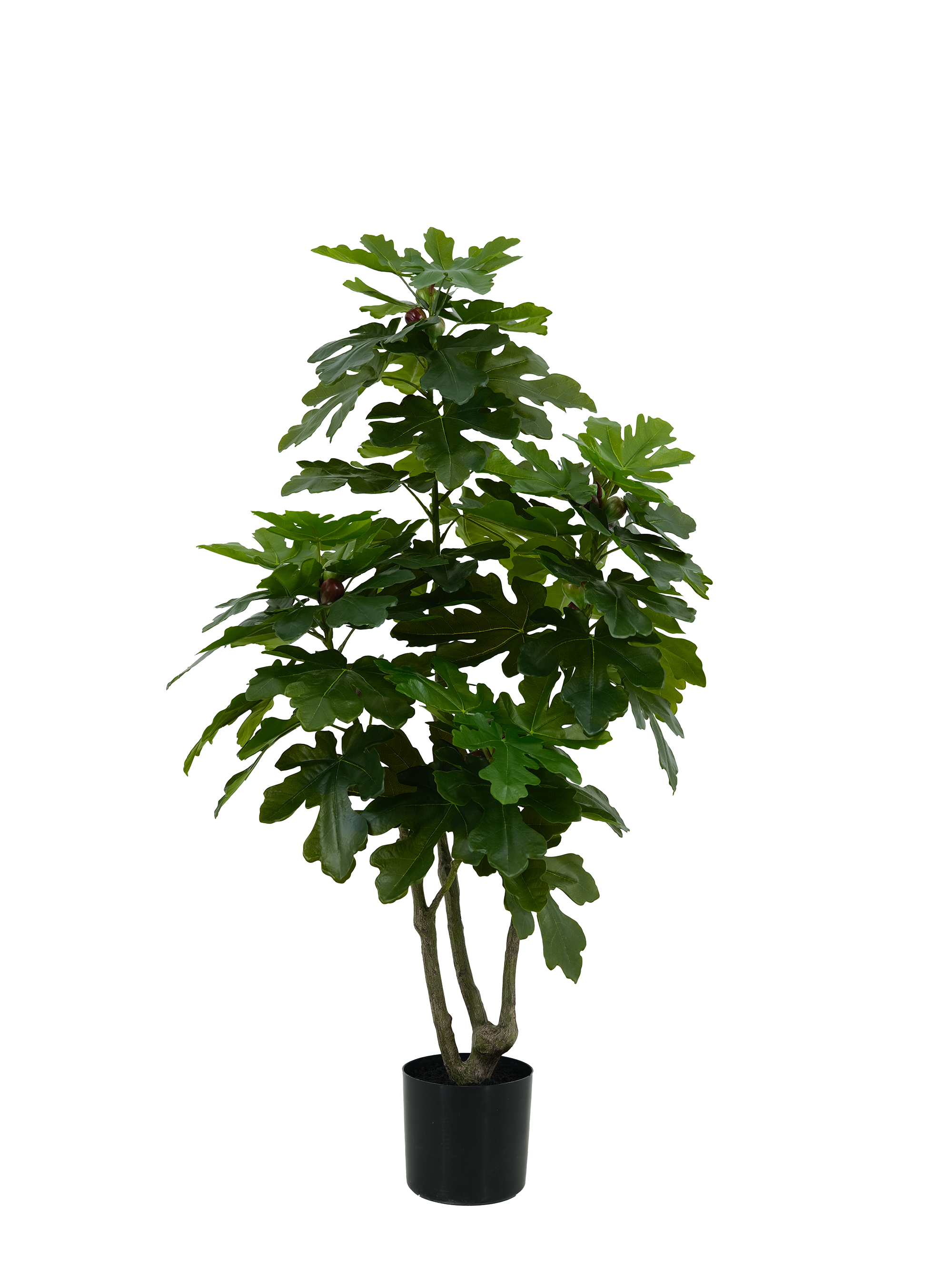 Artificial Fig Tree