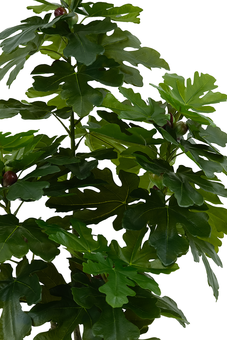 Artificial Fig Tree