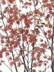 Artificial Red Japanese Maple
