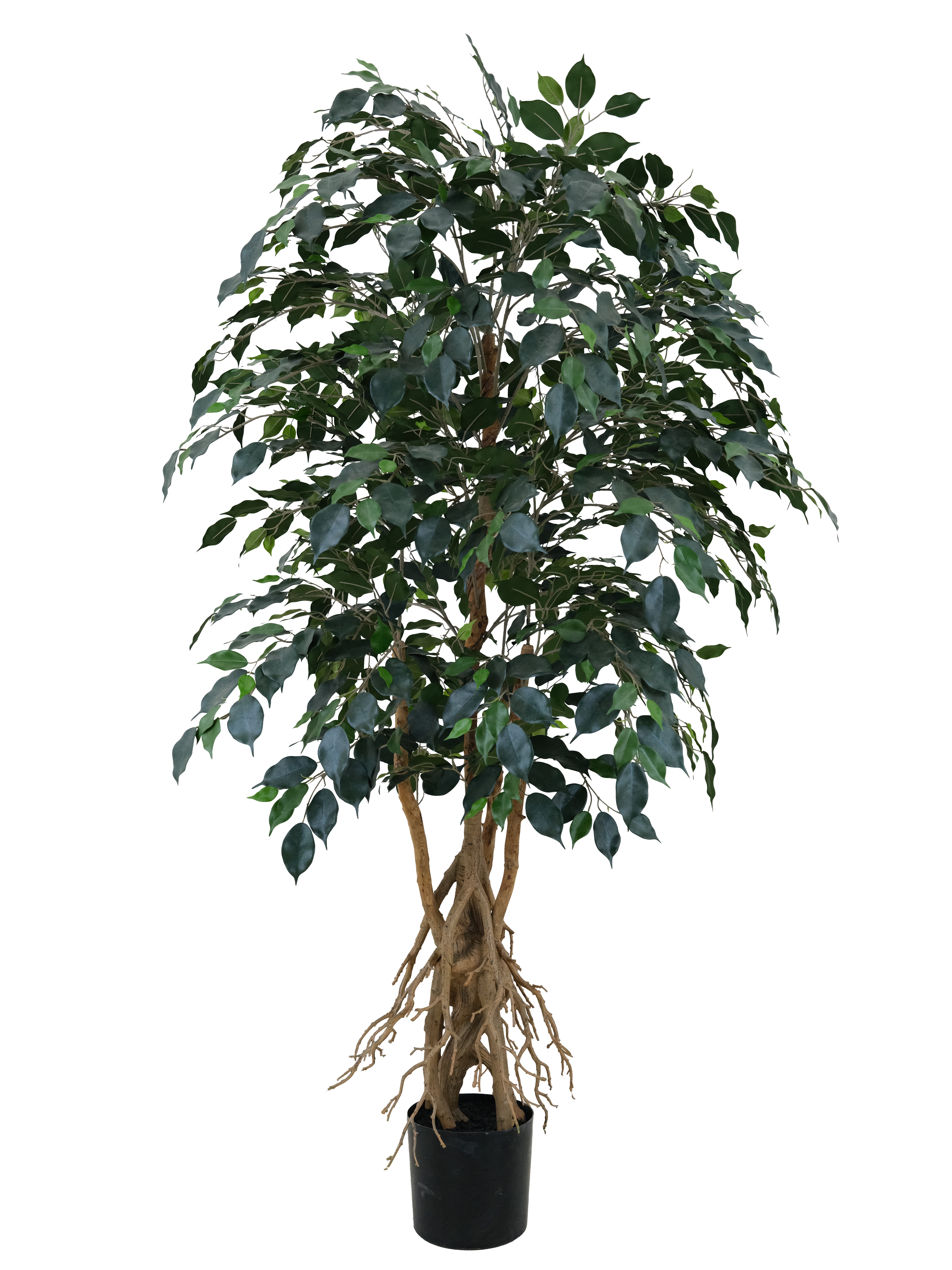 Artificial Ficus Tree
