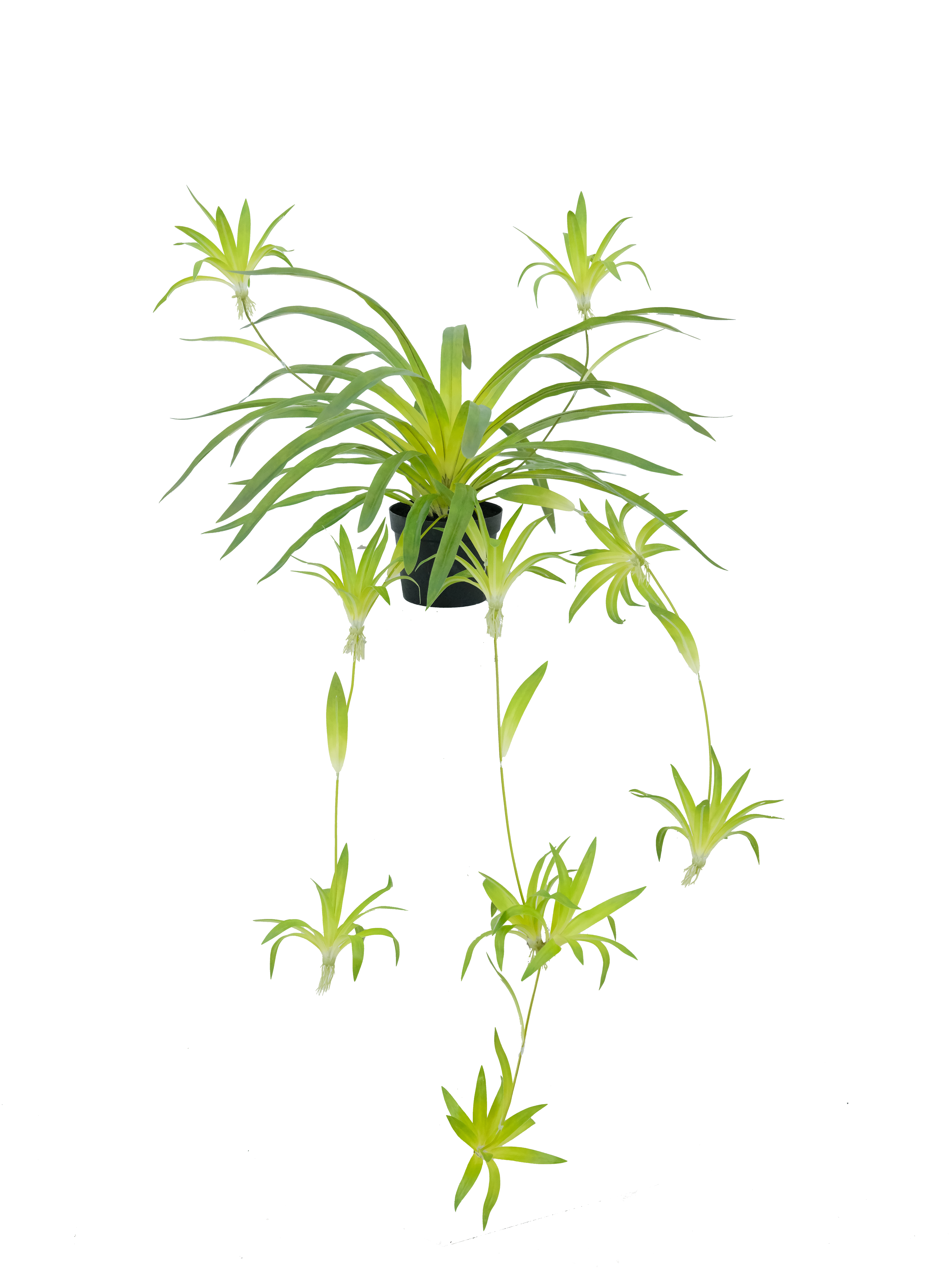 Artificial Spider Plant Potted Arrangement