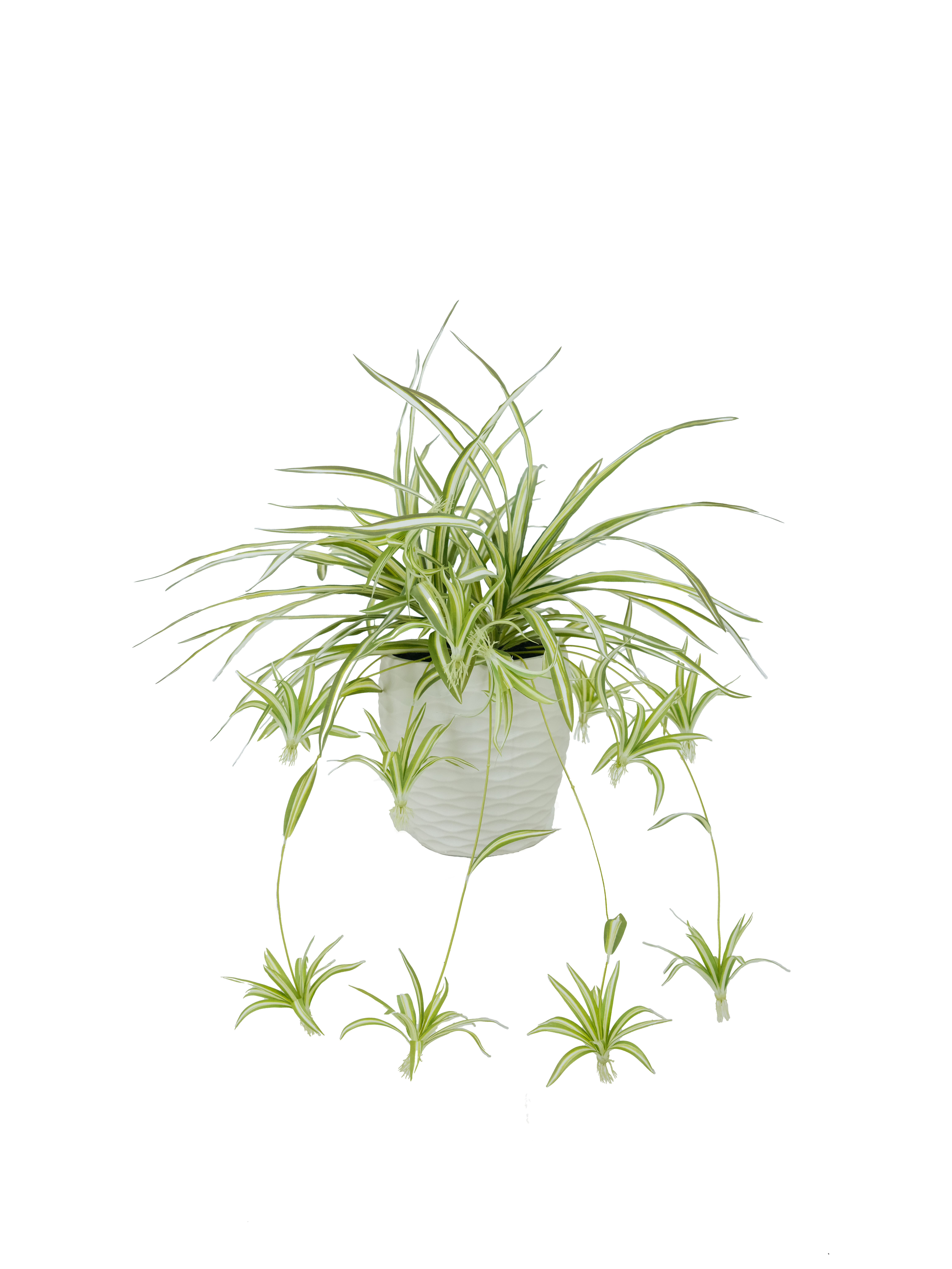 Artificial Spider Plant Potted Arrangement