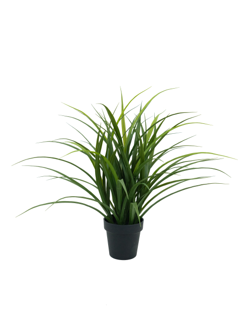 Artificial Onion Grass Potted Arrangement