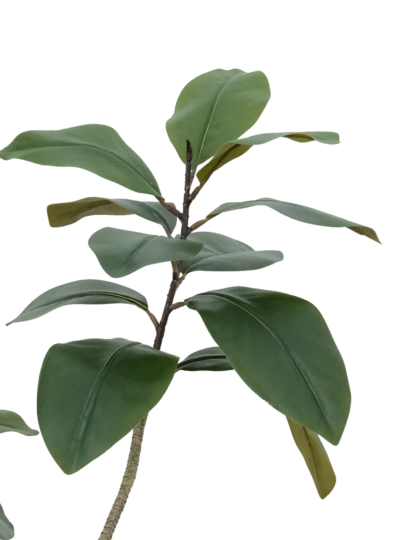 Artificial Magnolia Tree
