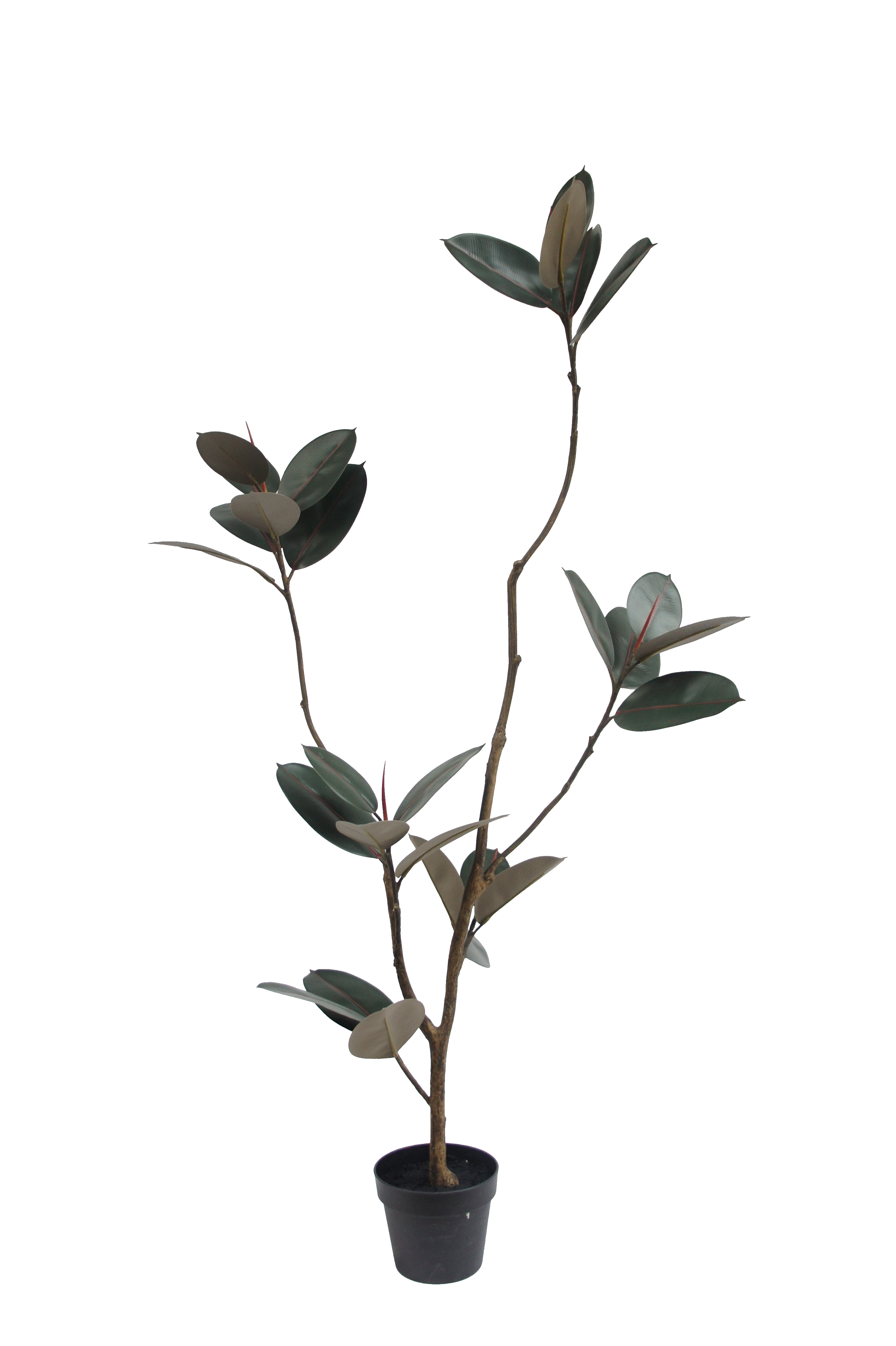Artificial Rubber Tree