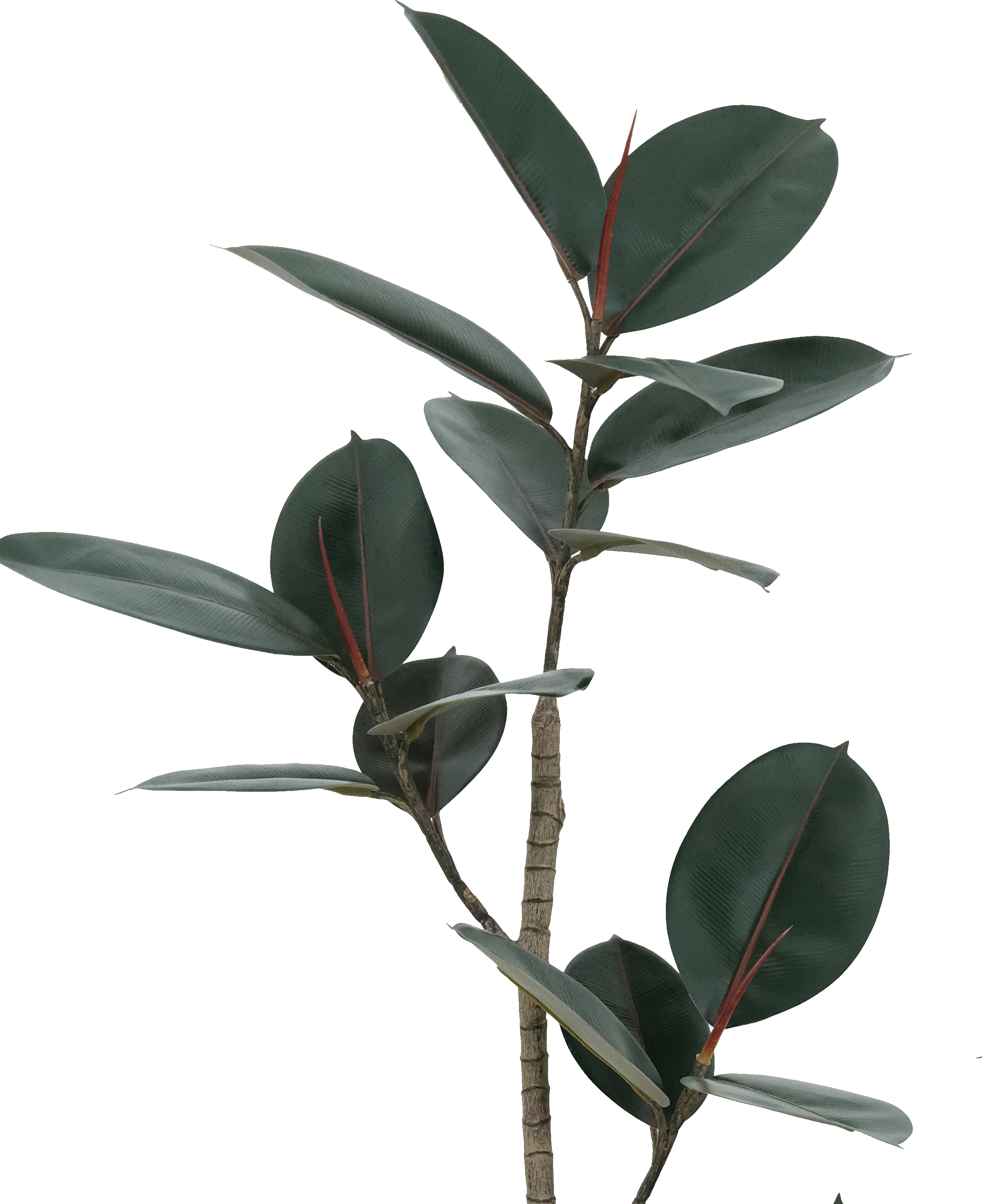 Artificial Rubber Tree