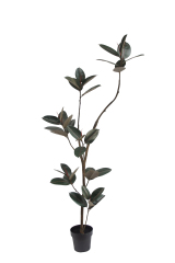 Artificial Rubber Tree