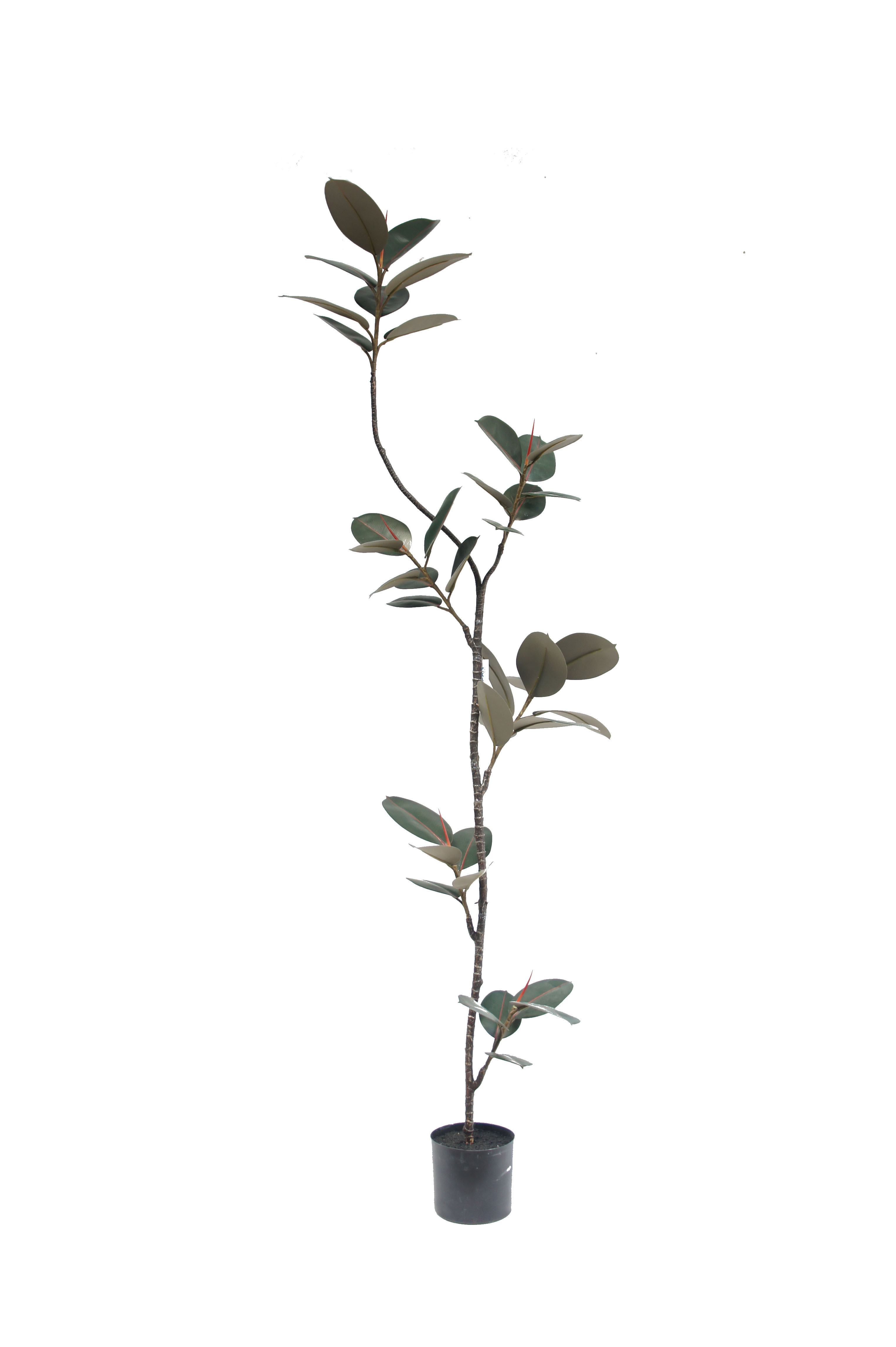 Artificial Rubber Tree