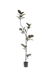 Artificial Rubber Tree