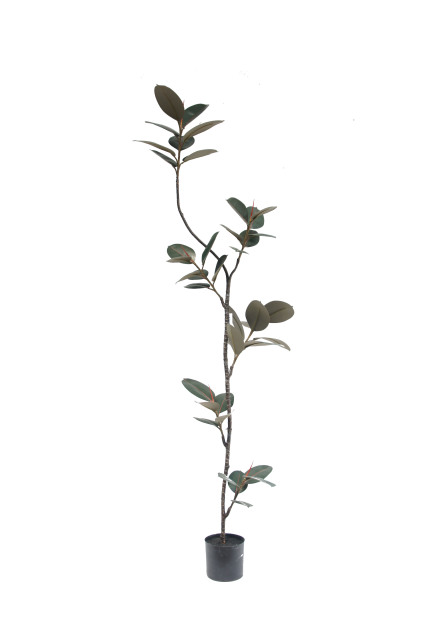 Artificial Rubber Tree