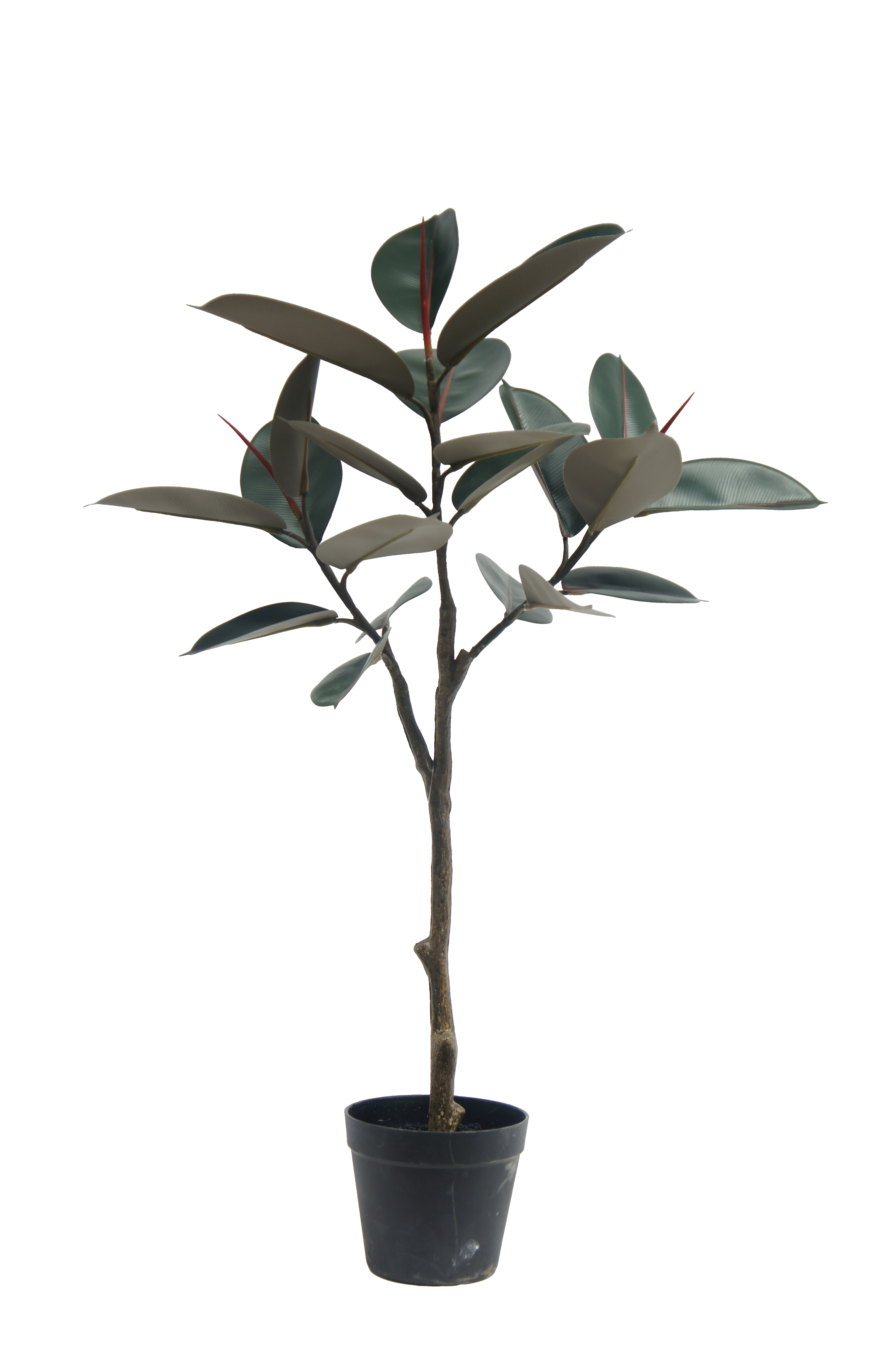 Artificial Rubber Tree