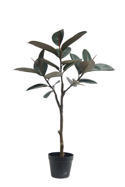 Artificial Rubber Tree