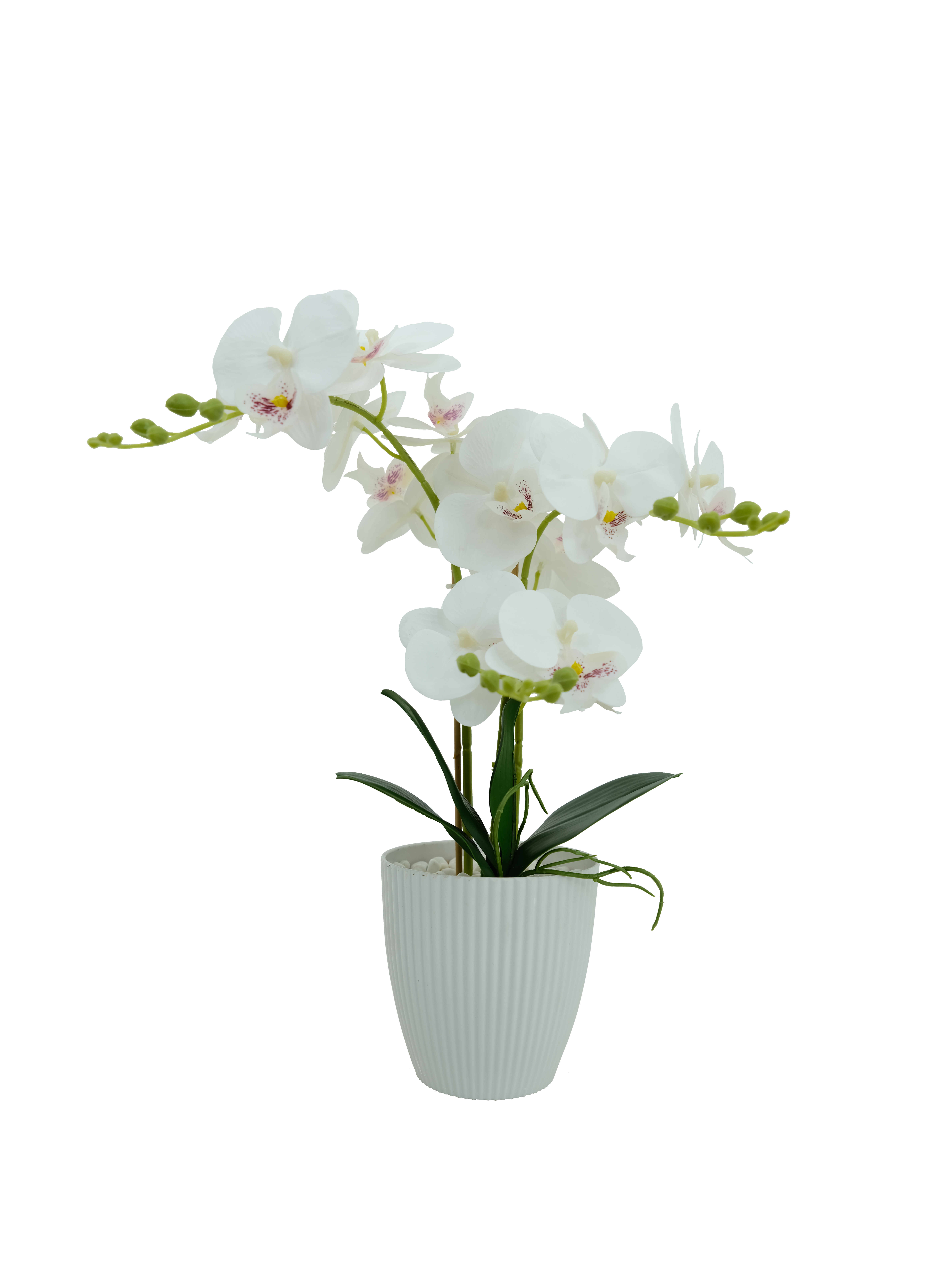 Faux Phalaenopsis Arrangement