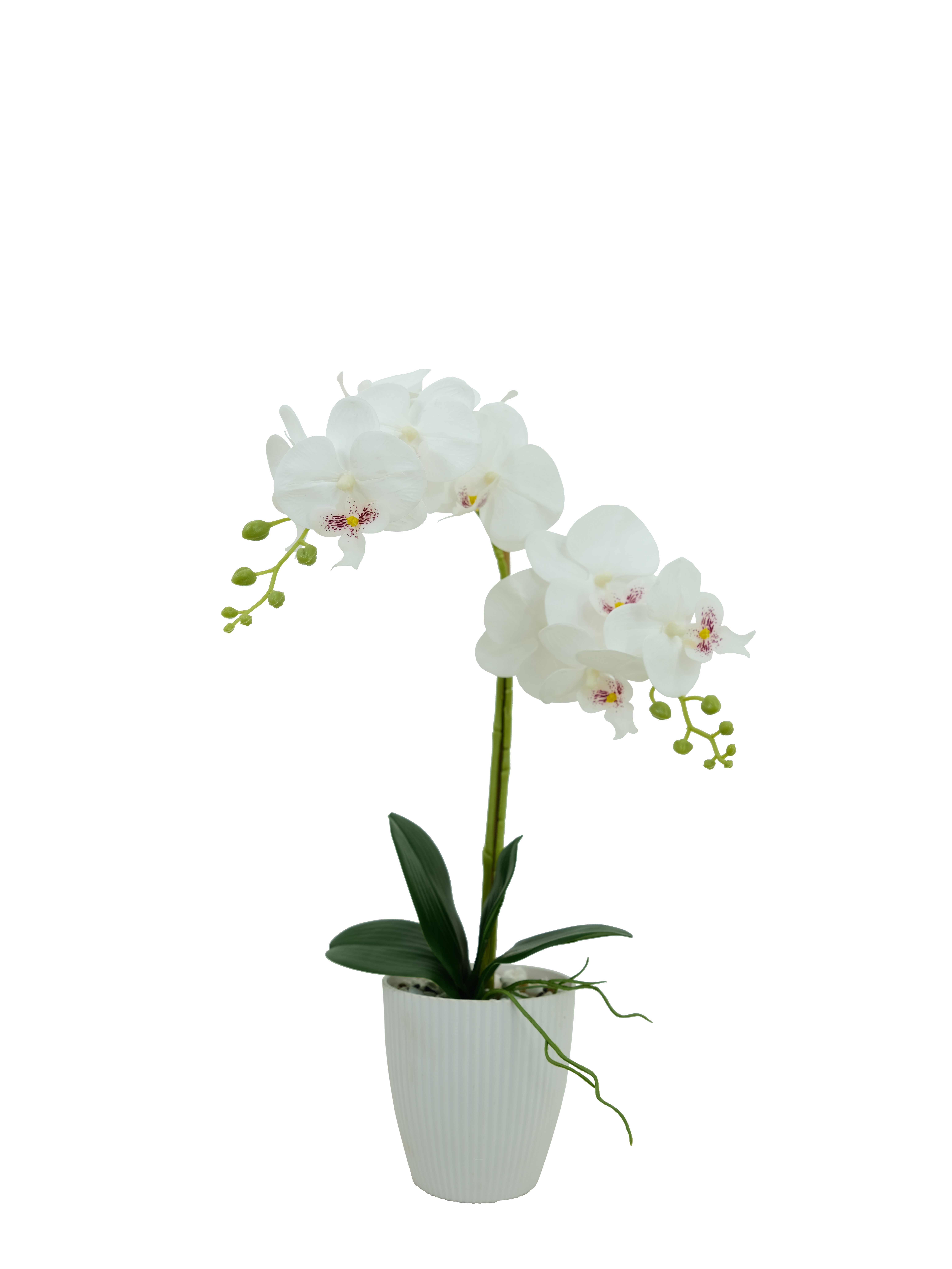 Faux Phalaenopsis Arrangement