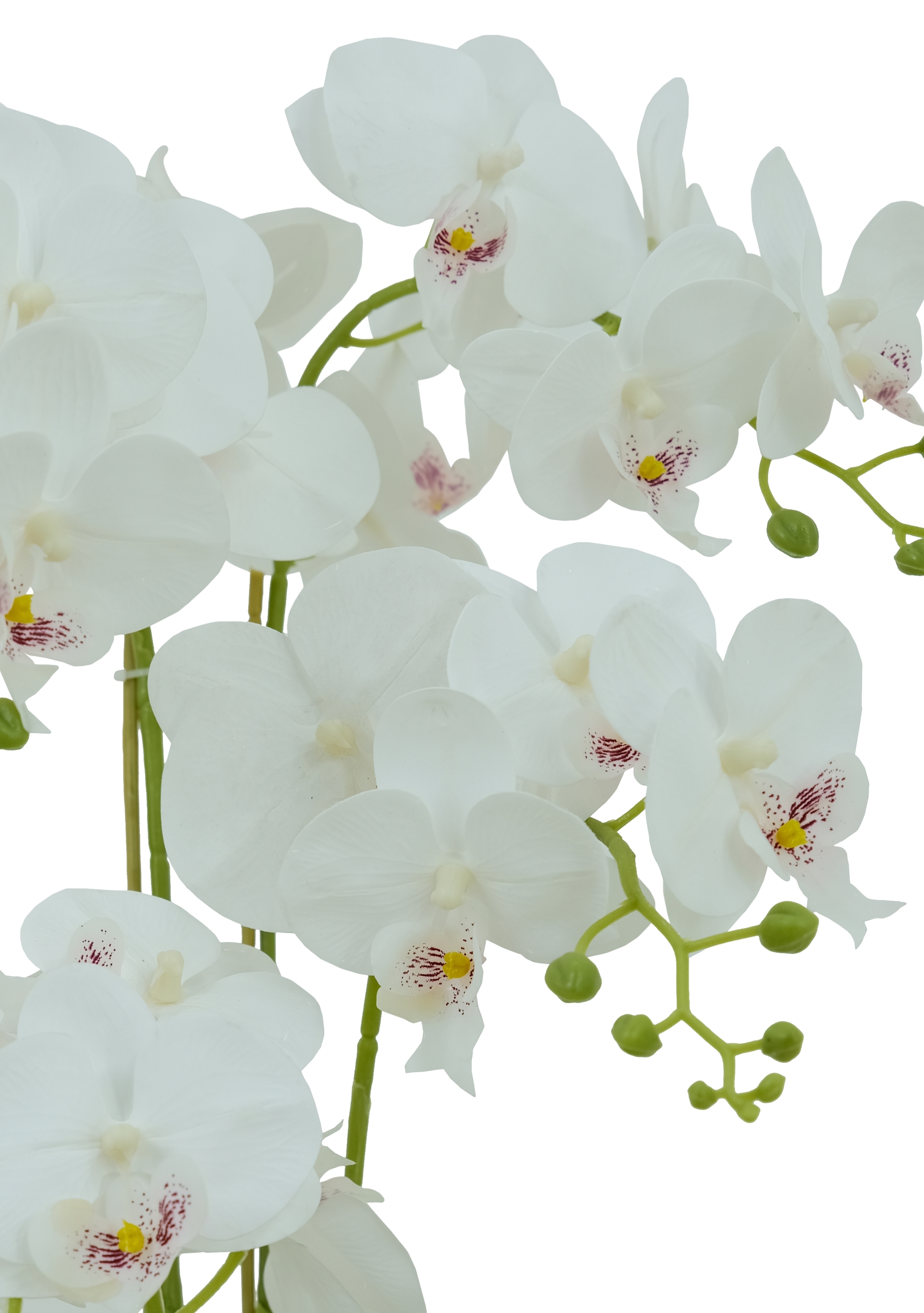 Faux Phalaenopsis Arrangement