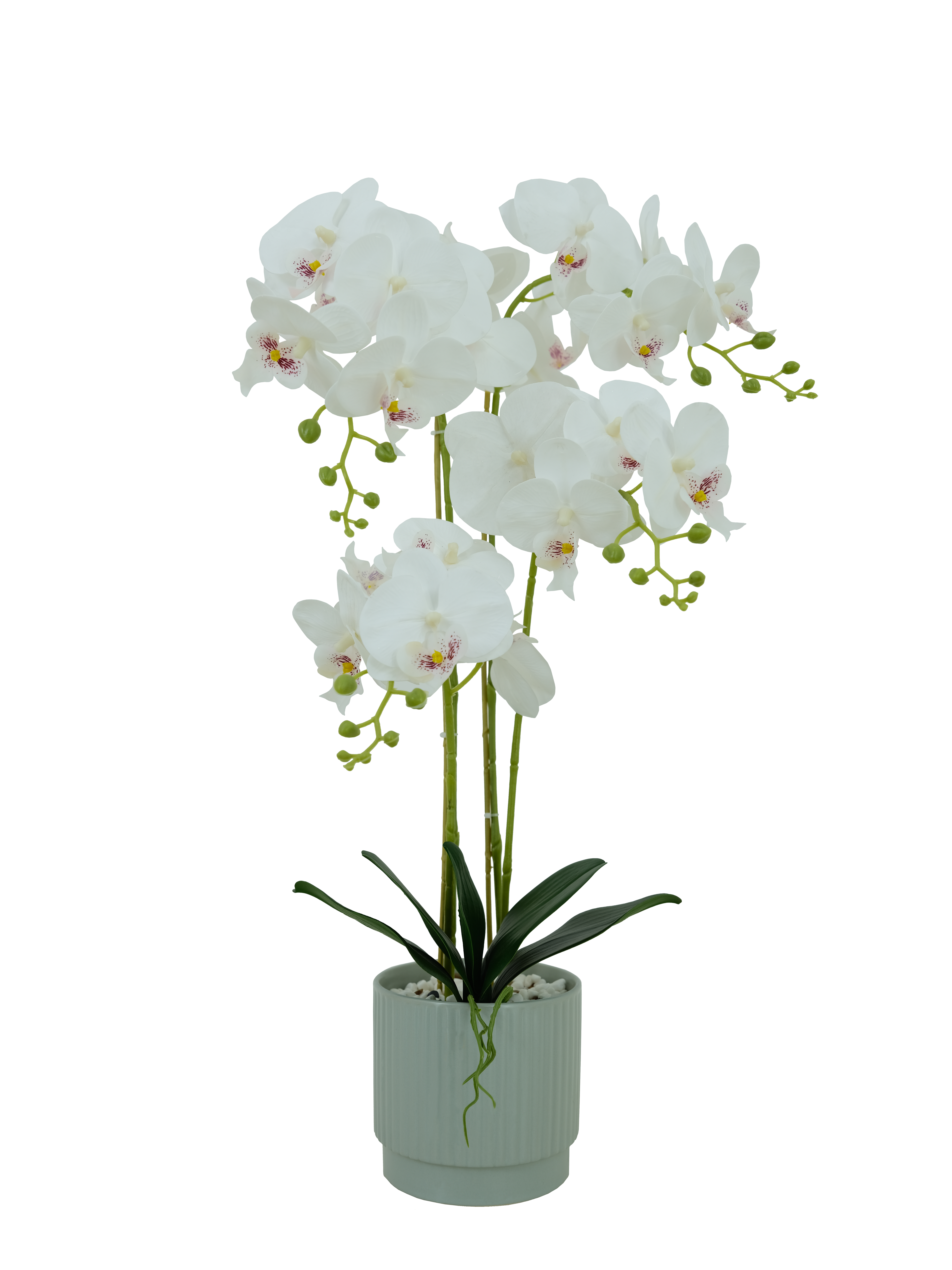 Faux Phalaenopsis Arrangement