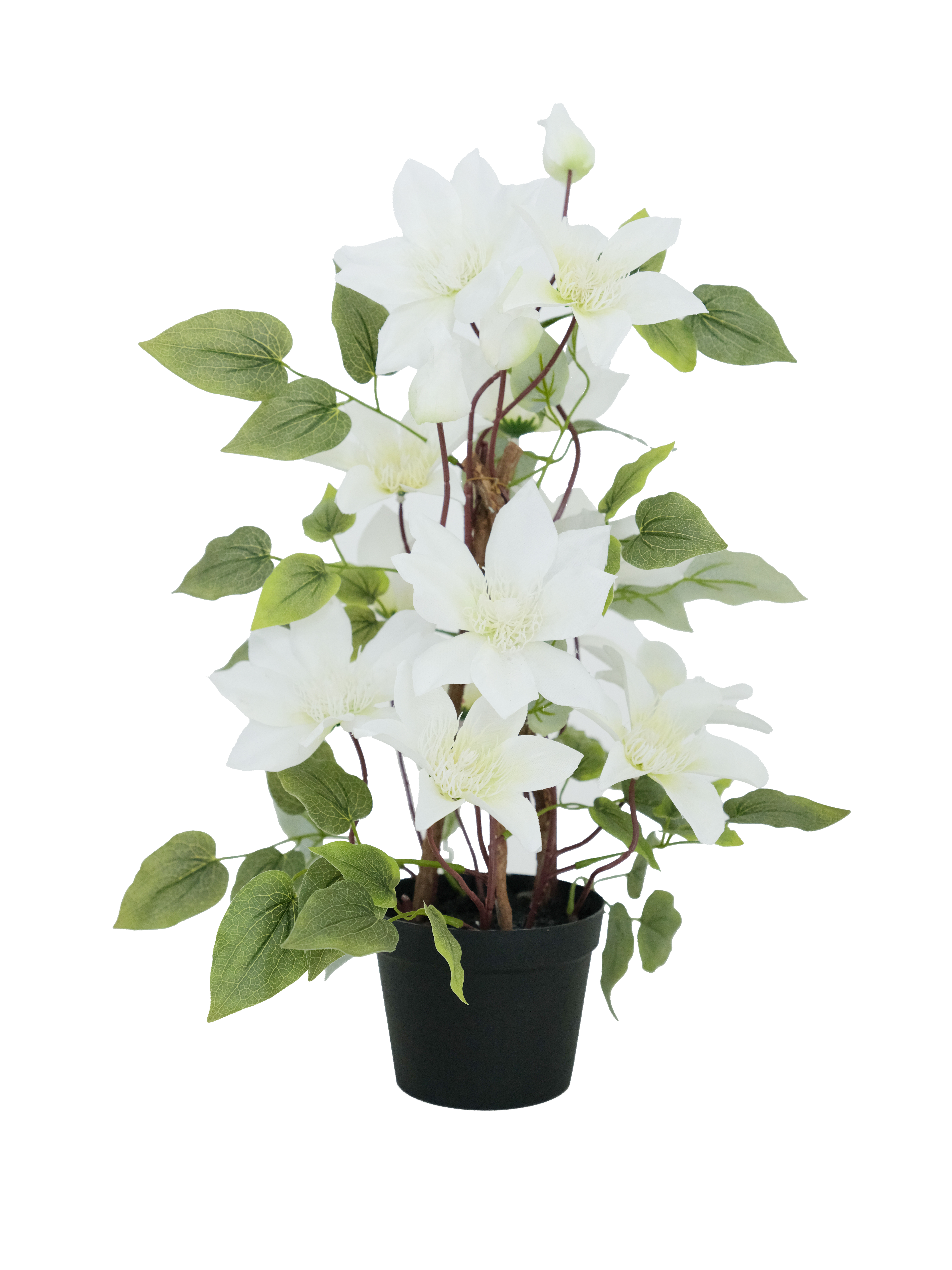 Artificial Clematis on Trellis
