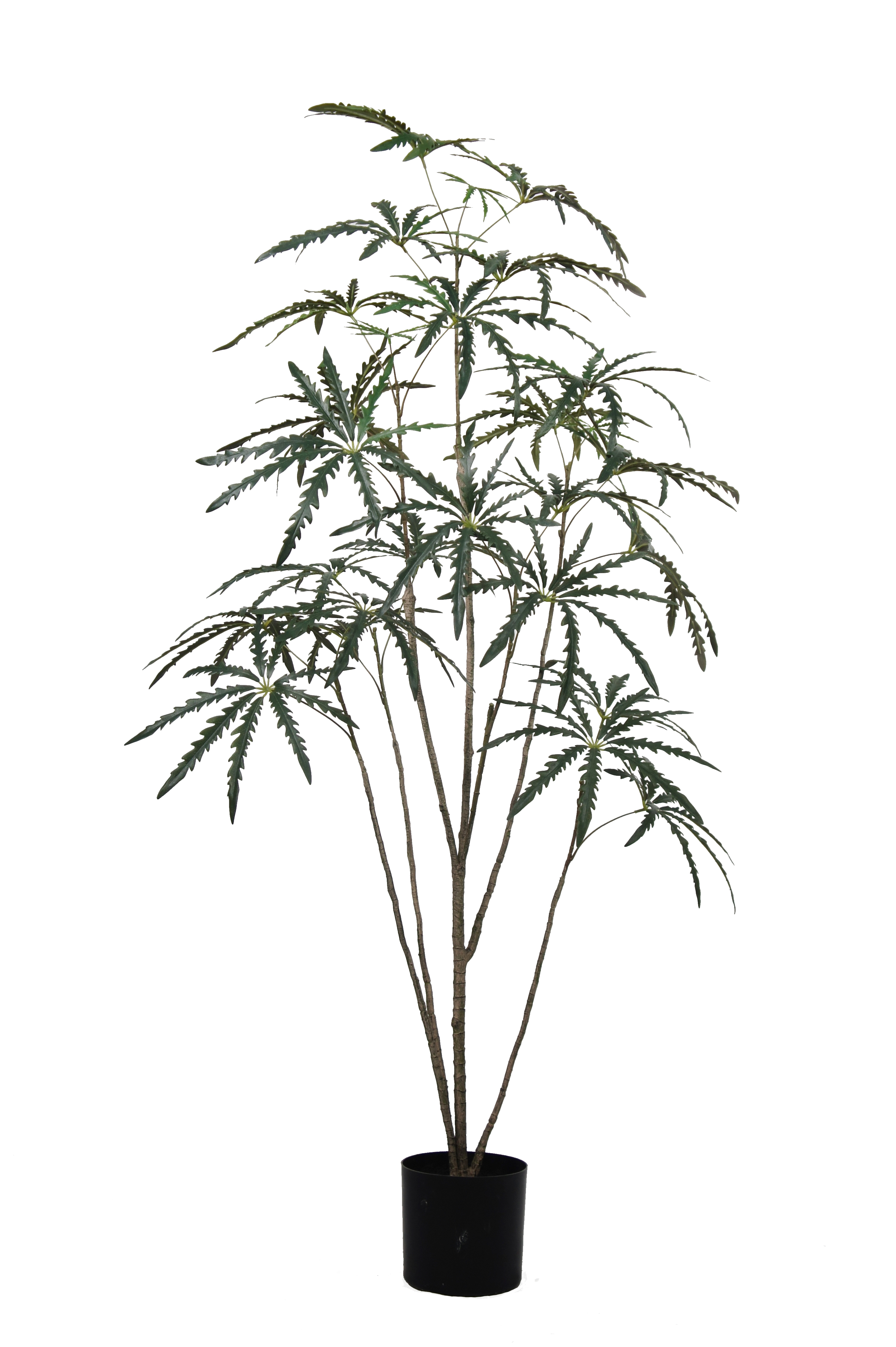Artificial False Aralia