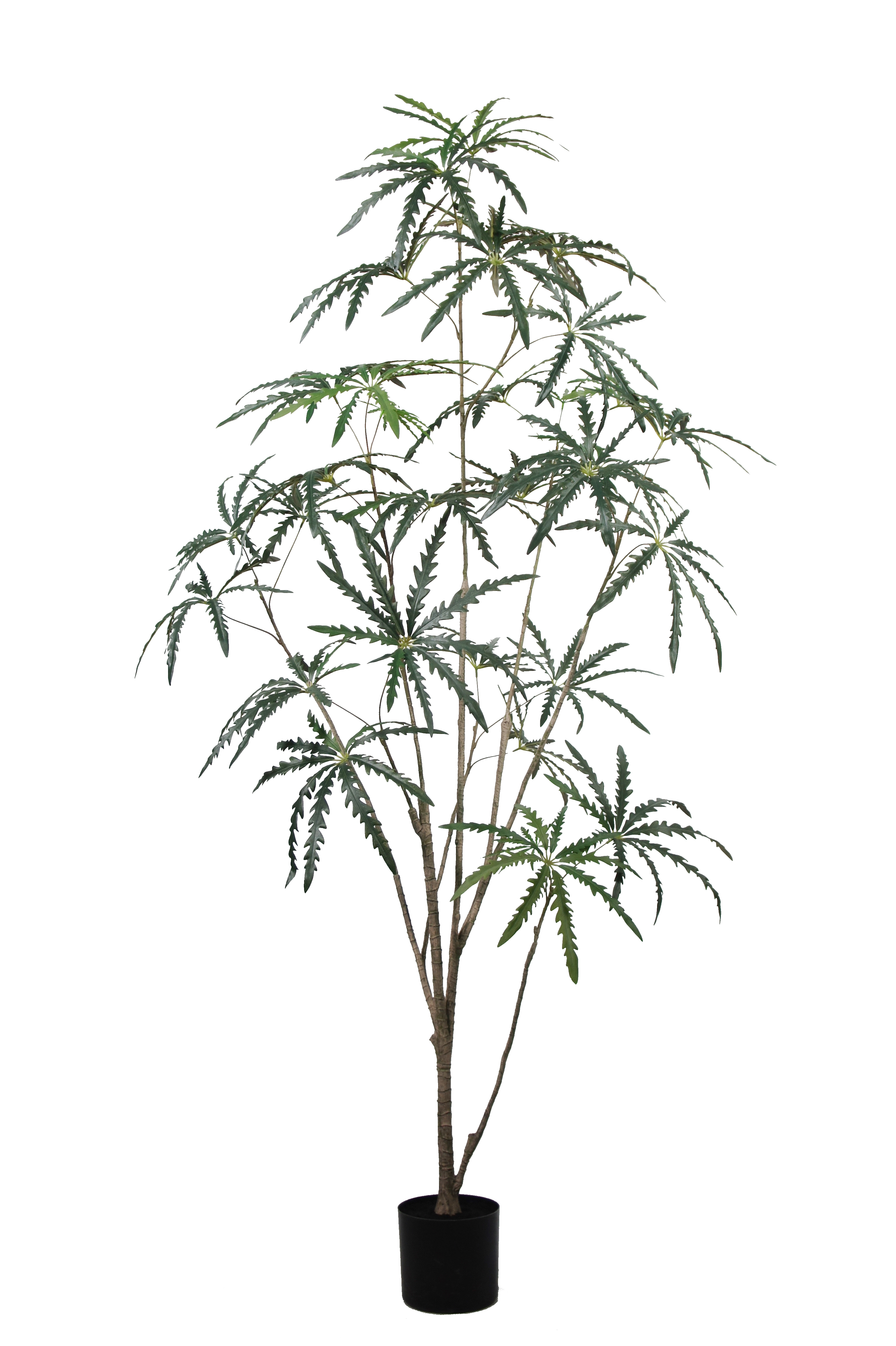 Artificial False Aralia