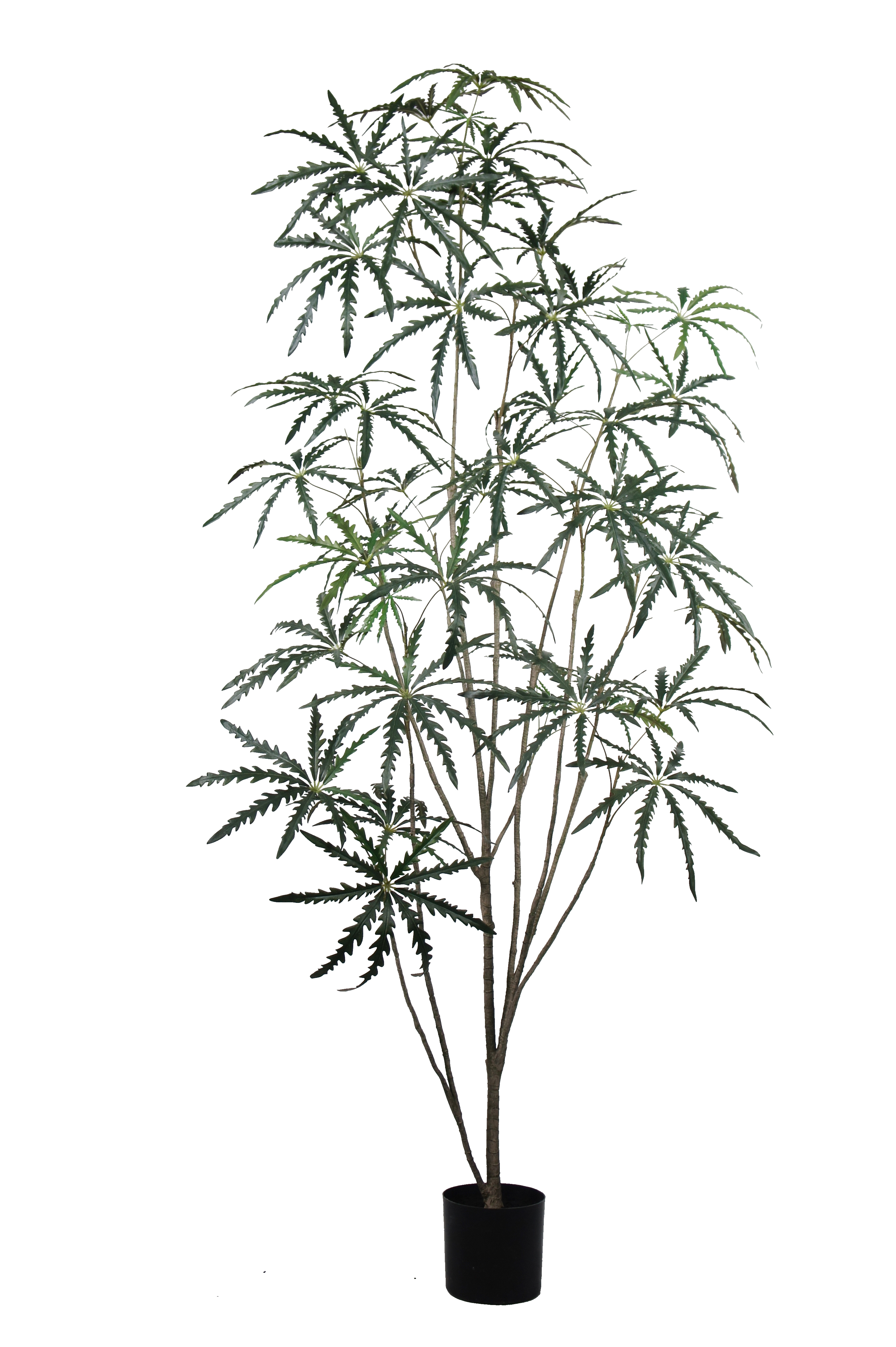 Artificial False Aralia