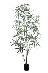 Artificial False Aralia