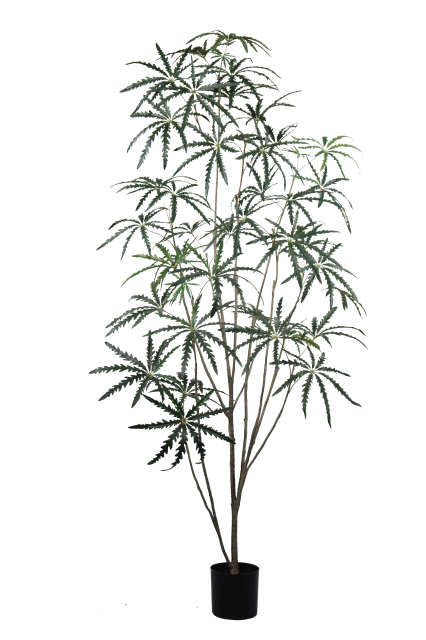 Artificial False Aralia