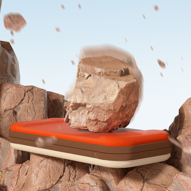 Switch Carrying Case