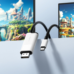 USB C to DisplayPort Cable