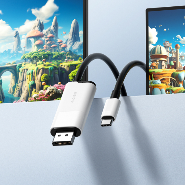 USB C to DisplayPort Cable
