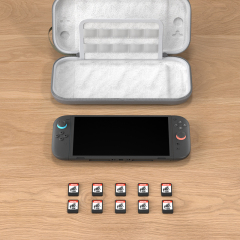 Switch 2 Storage Case