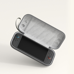 Switch 2 Storage Case