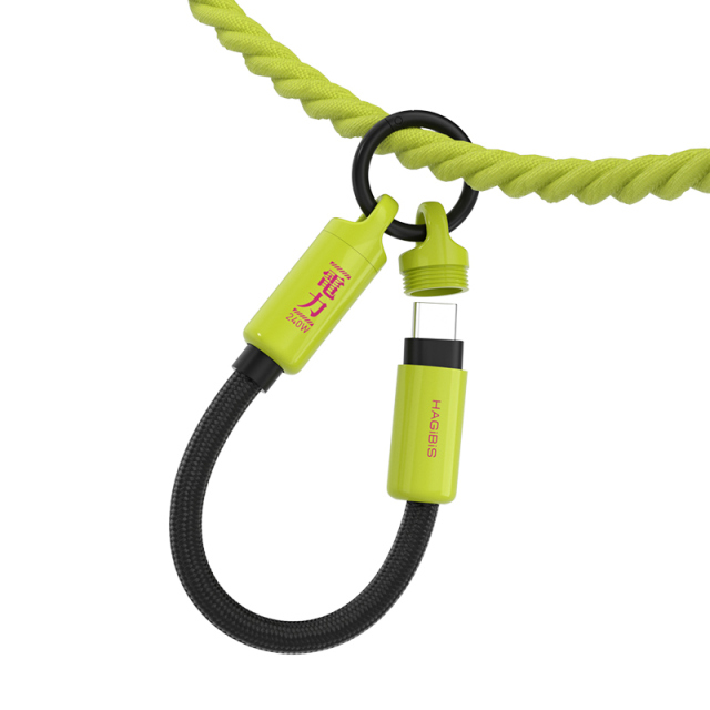 USB-C Fast Charging Cable with Lanyard