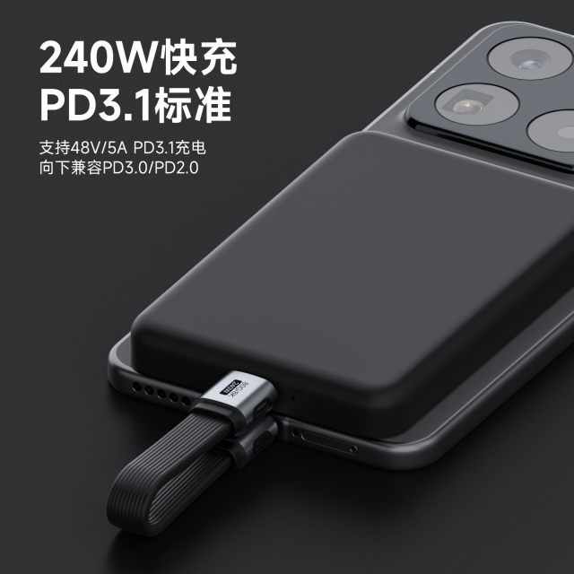 Short Flat USB4 Cable