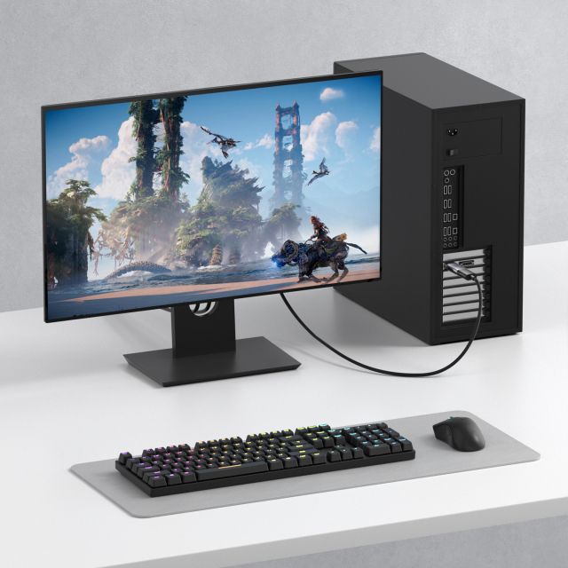Female USB-C to Male DisplayPort 1.4 / HDMI 2.1 Adapter