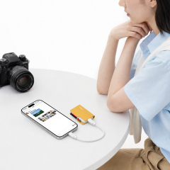 SD/Micro SD 4.0 Card Reader