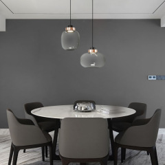 Modern Design Iron Metal Simple Smoke Glass Small Round Chandelier Pendant Light for Dining Room Bedroom